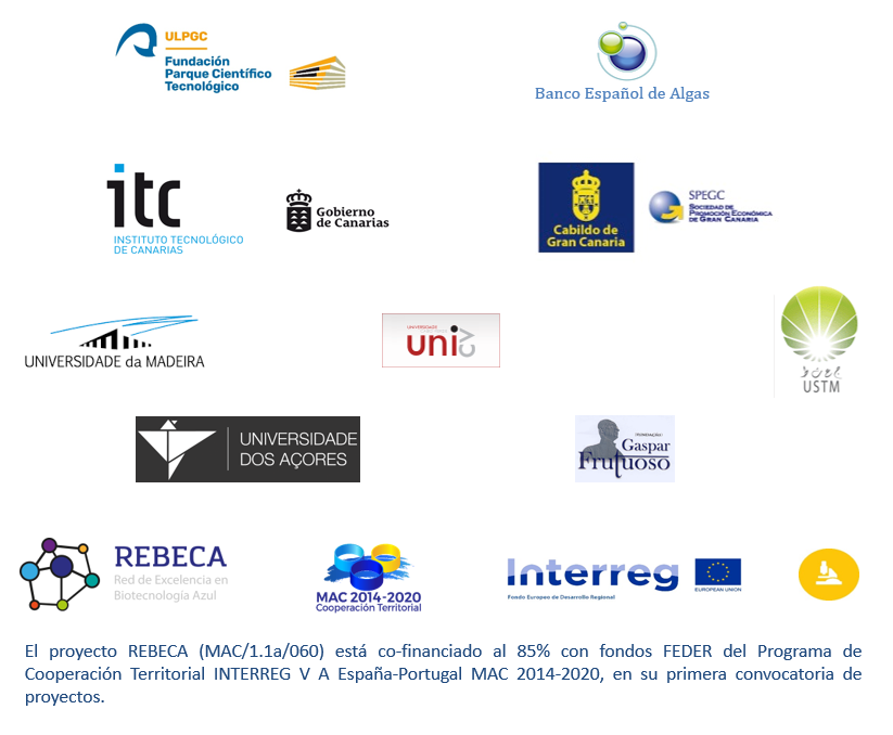 LOGOS SOCIOS INTERREG REBECA