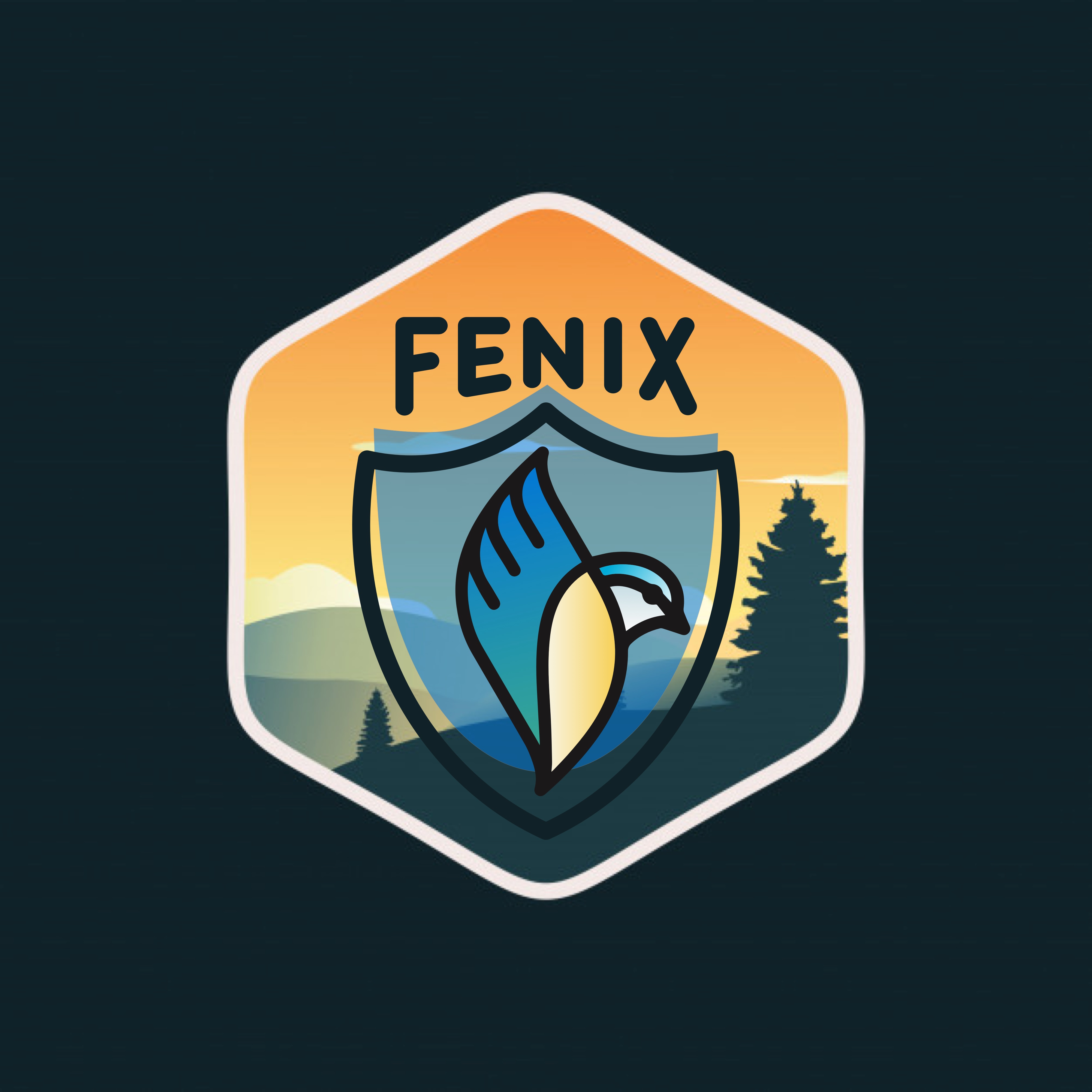 fenix blog