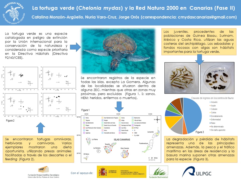 Poster 2 resumen tortuga verde