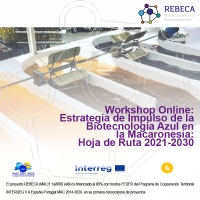 Workshop Online: Estrategia de Impulso de la Biotecnología Azul en la Macaronesia: Hoja de ruta 2020-2030 - 11 de noviembre de 2020