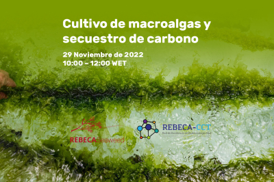 Cartel Webinar Cultivo de macroalgas y secuestro de carbono