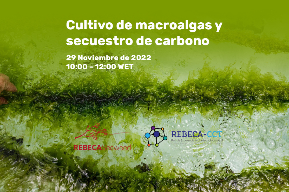 Cartel Webinar Cultivo de macroalgas y secuestro de carbono