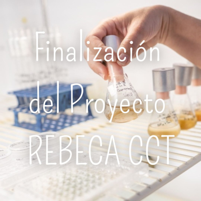Finaliza el Proyecto REBECA CCT