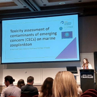 PROYECTO MICROPLEACH &ldquo;IMPACTO DE ADITIVOS PL&Aacute;STICOS EN EL PLANCTON MARINO&rdquo; PROGRAMA INVESTIGO 2023 ANNA CUNILL I S&Aacute;EZ