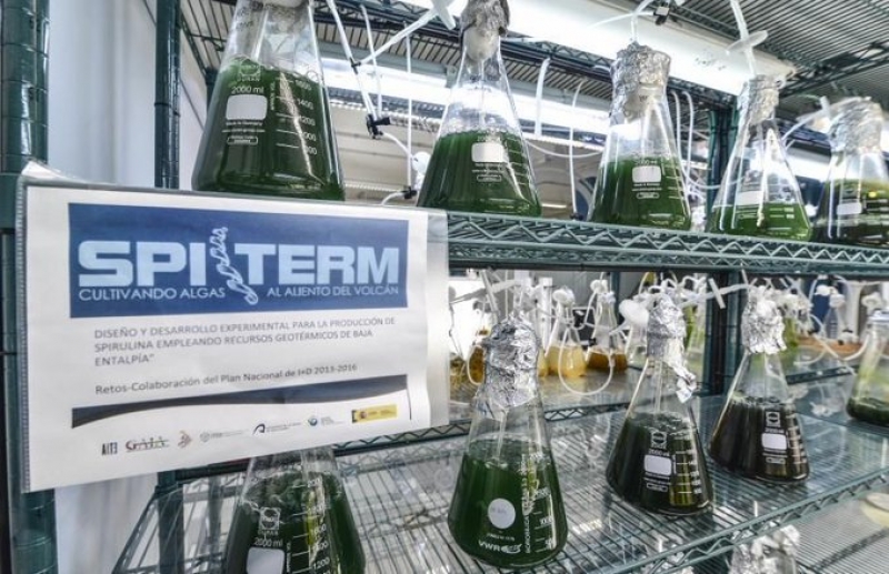 La Agencia Estatal de Investigaci&oacute;n felicita por los resultados del proyecto SPITERM en el que participa el BEA