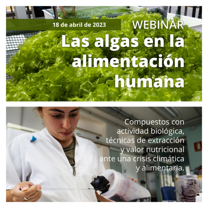 Webinar &quot;Algae In Human Nutrition: Biologically Active Compounds, Extraction Techniques And Nutritional Value In The Face Of A Climate And Food Crisis&quot;. April 18th, 2023
