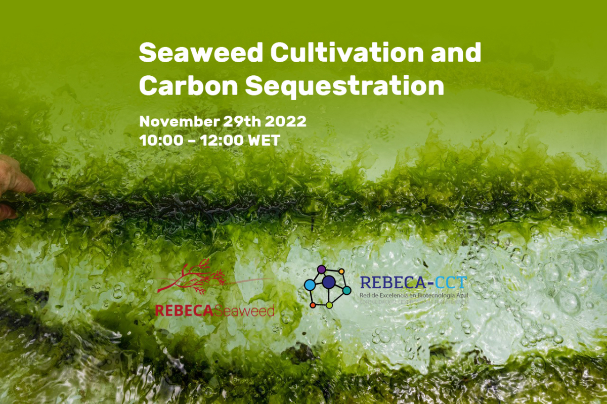 Webinar &quot;Seaweed Cultivation and Carbon Sequestration&quot;, November 29th 2022, 10:00 – 12:00 WET