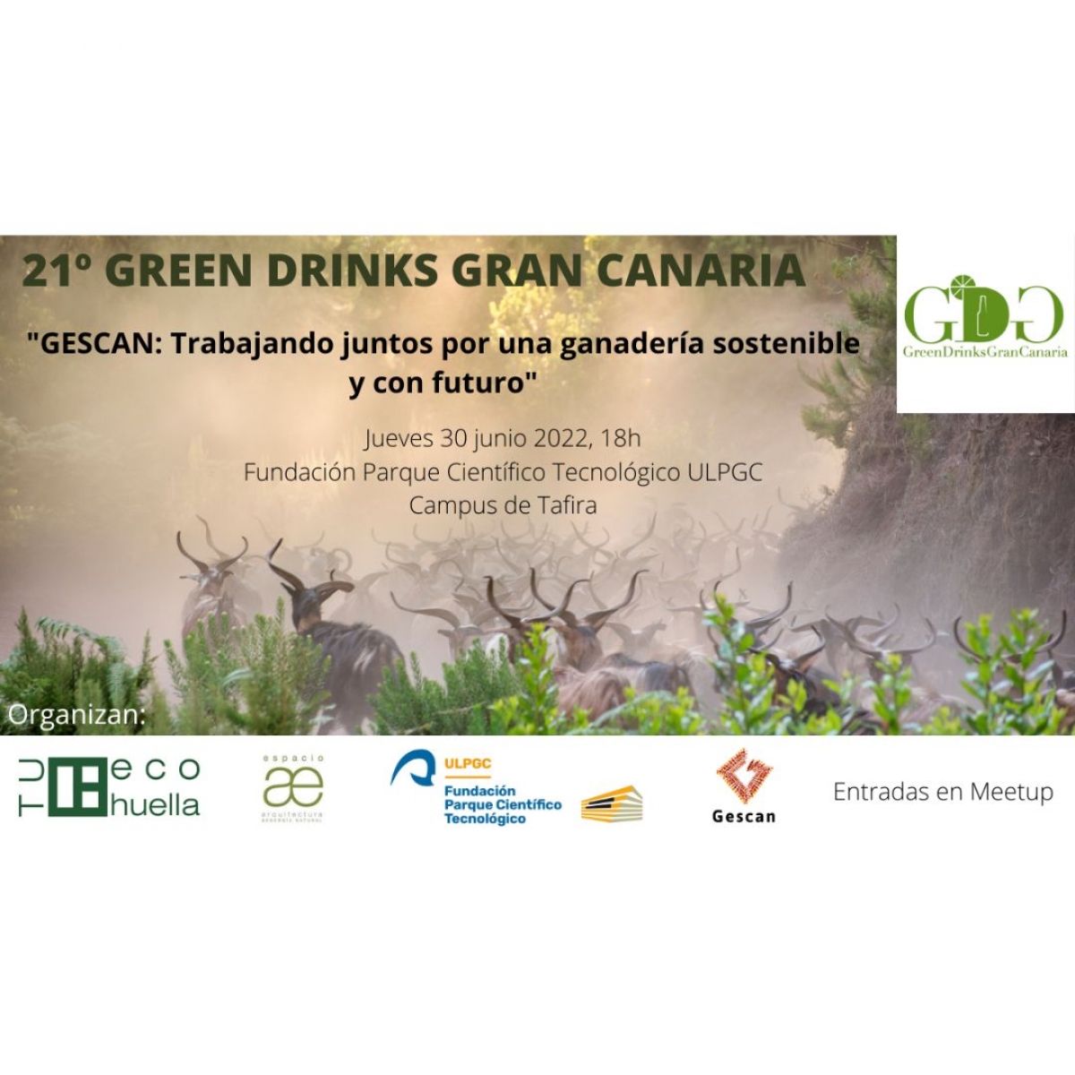 21º Green Drinks Gran Canaria: &quot;GESCAN: Trabajando juntos por una ganadería sostenible y con futuro&quot;, 30/06/2022